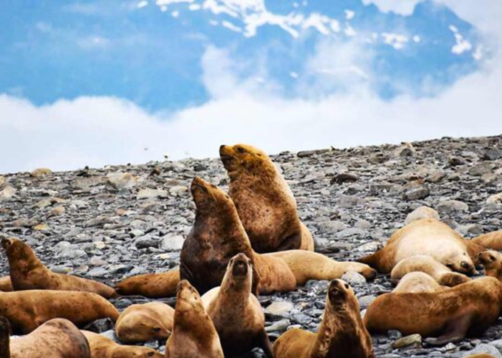 a small boat in a body of water