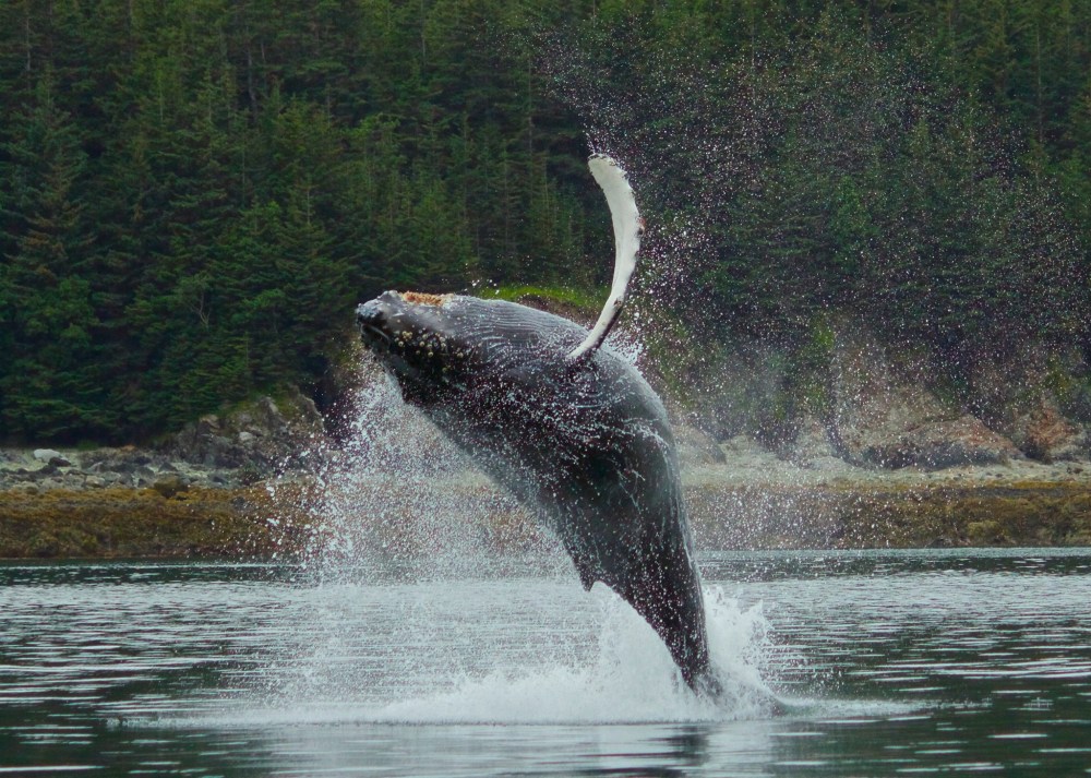 a small boat in a body of water
